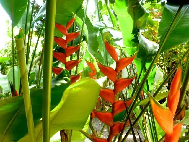 Canto Do Quadrado Bed and Breakfast Porto Seguro Bed & Breakfast